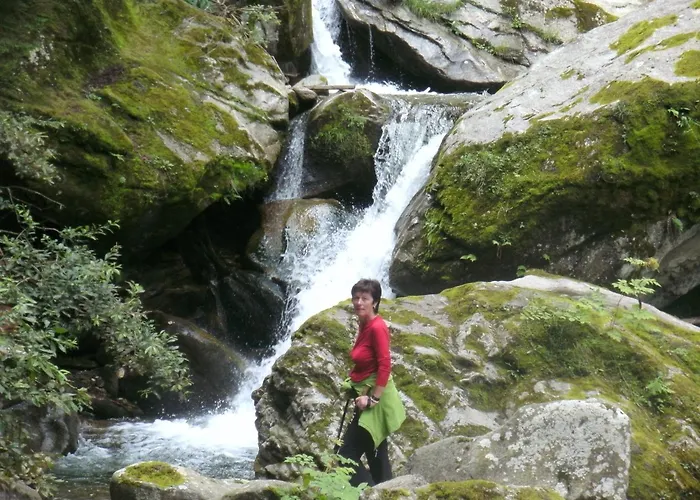 Regina Πανσιόν Mayrhofen