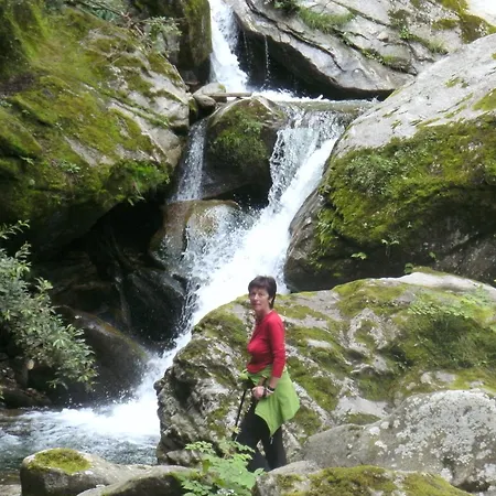 Regina Πανσιόν Mayrhofen